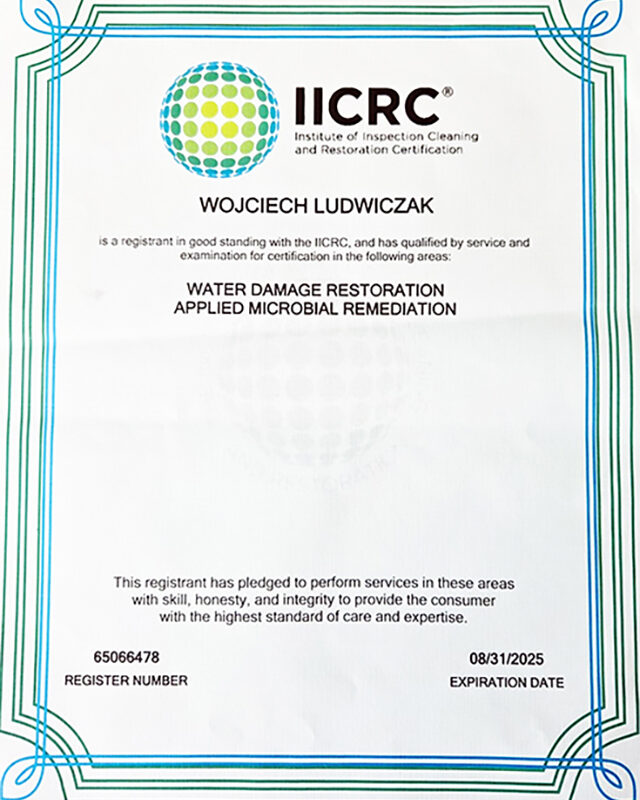 5. wl wd+amr 2025